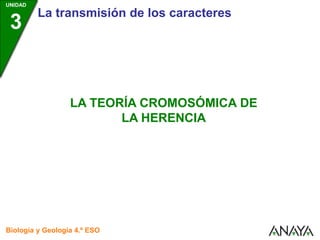 UNIDAD
3
La transmisión de los caracteres
Biología y Geología 4.º ESO
LA TEORÍA CROMOSÓMICA DE
LA HERENCIA
 
