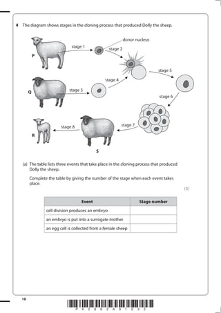 10
*P42862A01032*
4 The diagram shows stages in the cloning process that produced Dolly the sheep.
(a) The table lists three events that take place in the cloning process that produced
Dolly the sheep.
Complete the table by giving the number of the stage when each event takes
place.
(3)
Event Stage number
cell division produces an embryo
an embryo is put into a surrogate mother
an egg cell is collected from a female sheep
P
Q
R
S
stage 1
donor nucleus
stage 2
stage 5
stage 3
stage 4
stage 8 stage 7
stage 6
 