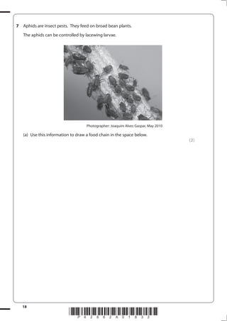 18
*P42862A01832*
7 Aphids are insect pests. They feed on broad bean plants.
The aphids can be controlled by lacewing larvae.
Photographer: Joaquim Alves Gaspar, May 2010
(a) Use this information to draw a food chain in the space below.
(2)
 