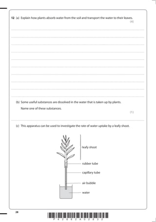 28
*P42862A02832*
12 (a) Explain how plants absorb water from the soil and transport the water to their leaves.
(4)
....................................................................................................................................................................................................................................................................................
....................................................................................................................................................................................................................................................................................
....................................................................................................................................................................................................................................................................................
....................................................................................................................................................................................................................................................................................
....................................................................................................................................................................................................................................................................................
....................................................................................................................................................................................................................................................................................
....................................................................................................................................................................................................................................................................................
....................................................................................................................................................................................................................................................................................
....................................................................................................................................................................................................................................................................................
....................................................................................................................................................................................................................................................................................
(b) Some useful substances are dissolved in the water that is taken up by plants.
Name one of these substances.
(1)
....................................................................................................................................................................................................................................................................................
(c) This apparatus can be used to investigate the rate of water uptake by a leafy shoot.
rubber tube
capillary tube
air bubble
water
leafy shoot
⎫
⎬
⎪
⎪
⎭
⎪
⎪
 