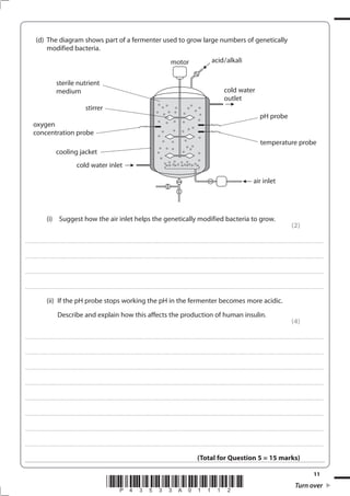 11
*P43533A01112* Turn over
(d) The diagram shows part of a fermenter used to grow large numbers of genetically
modified bacteria.
(i) Suggest how the air inlet helps the genetically modified bacteria to grow.
(2)
....................................................................................................................................................................................................................................................................................
....................................................................................................................................................................................................................................................................................
....................................................................................................................................................................................................................................................................................
....................................................................................................................................................................................................................................................................................
(ii) If the pH probe stops working the pH in the fermenter becomes more acidic.
Describe and explain how this affects the production of human insulin.
(4)
....................................................................................................................................................................................................................................................................................
....................................................................................................................................................................................................................................................................................
....................................................................................................................................................................................................................................................................................
....................................................................................................................................................................................................................................................................................
....................................................................................................................................................................................................................................................................................
....................................................................................................................................................................................................................................................................................
....................................................................................................................................................................................................................................................................................
....................................................................................................................................................................................................................................................................................
(Total for Question 5 = 15 marks)
sterile nutrient
medium
stirrer
oxygen
concentration probe
cooling jacket
cold water inlet
cold water
outlet
temperature probe
pH probe
air inlet
motor acid/alkali
 