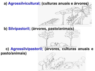 a) Agrossilvicultural; (culturas anuais e árvores)

b) Silvipastoril; (árvores, pasto/animais)

c) Agrossilvipastoril; (árvores, culturas anuais e
pasto/animais)

 