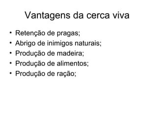 Vantagens da cerca viva
•
•
•
•
•

Retenção de pragas;
Abrigo de inimigos naturais;
Produção de madeira;
Produção de alimentos;
Produção de ração;

 