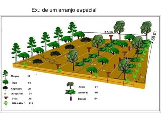 Ex.: de um arranjo espacial

 