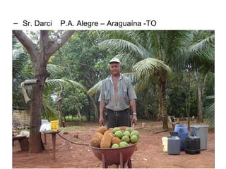 – Sr. Darci

P.A. Alegre – Araguaína -TO

 