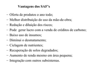 Vantagens dos SAF’s
–
–
–
–
–
–
–
–
–
–

Oferta de produtos o ano todo;
Melhor distribuição do uso da mão-de-obra;
Redução e diluição dos riscos;
Pode gerar lucro com a venda de créditos de carbono;
Baixo uso de insumos;
Diminui o desmatamento;
Ciclagem de nutrientes;
Recuperação de solos degradados;
Aumento de renda mesmo em área pequena;
Integração com outros subsistemas.

 