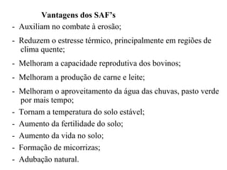 Vantagens dos SAF’s
- Auxiliam no combate à erosão;
- Reduzem o estresse térmico, principalmente em regiões de
clima quente;
- Melhoram a capacidade reprodutiva dos bovinos;
- Melhoram a produção de carne e leite;
- Melhoram o aproveitamento da água das chuvas, pasto verde
por mais tempo;
- Tornam a temperatura do solo estável;
- Aumento da fertilidade do solo;
- Aumento da vida no solo;
- Formação de micorrizas;
- Adubação natural.

 