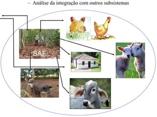 – Análise da integração com outros subsistemas

SAF

 