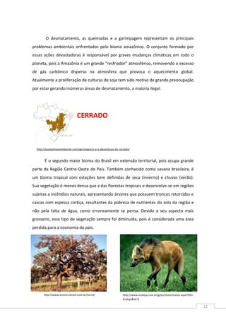 12
O desmatamento, as queimadas e a garimpagem representam os principais
problemas ambientais enfrentados pelo bioma amazônico. O conjunto formado por
essas ações devastadoras é responsável por graves mudanças climáticas em todo o
planeta, pois a Amazônia é um grande “resfriador” atmosférico, removendo o excesso
de gás carbônico disperso na atmosfera que provoca o aquecimento global.
Atualmente a proliferação de culturas de soja tem sido motivo de grande preocupação
por estar gerando inúmeras áreas de desmatamento, a maioria ilegal.
CERRADO
É o segundo maior bioma do Brasil em extensão territorial, pois ocupa grande
parte da Região Centro-Oeste do País. Também conhecido como savana brasileira, é
um bioma tropical com estações bem definidas de seca (inverno) e chuvas (verão).
Sua vegetação é menos densa que a das florestas tropicais e desenvolve-se em regiões
sujeitas a incêndios naturais, apresentando árvores que possuem troncos retorcidos e
cascas com espessa cortiça, resultantes da pobreza de nutrientes do solo da região e
não pela falta de água, como erroneamente se pensa. Devido a seu aspecto mais
grosseiro, esse tipo de vegetação sempre foi diminuída, pois é considerada uma área
perdida para a economia do país.
http://www.arvores.brasil.nom.br/cerrd/ http://www.ecoloja.com.br/goto/store/textos.aspx?SID=
Ecoloja&id=9
http://essetalmeioambiente.com/agronegocio-e-a-devastacao-do-cerrado/
 
