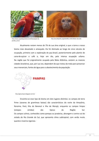 15
Atualmente restam menos de 7% de sua área original, o que a torna o nosso
bioma mais devastado e ameaçado. Ela foi dizimada ao longo de cinco séculos de
ocupação, primeiro com a exploração do pau-brasil, posteriormente pelo plantio de
cana-de-açúcar e café e, hoje em dia, pela intensa ocupação urbana.
Na região que foi originalmente ocupada pela Mata Atlântica, existem as maiores
cidades brasileiras, que, por sua vez, dependem do que restou da mata para preservar
seus mananciais, fontes de água para o abastecimento da população.
PAMPAS
Encontra-se esse tipo de bioma em dois lugares distintos: os campos de terra
firme (savanas de gramíneas baixas) são característicos do norte da Amazônia,
Roraima, Pará, Ilha do Bananal e Ilha de Marajó, enquanto os campos limpos
(estepes úmidas) são típicos da Região Sul.
Os campos sulinos, conhecidos como pampas ou pradarias, abrangem o centro-sul do
estado do Rio Grande do Sul, que apresenta clima subtropical, com verão muito
quente e inverno rigoroso.
http://www.papeldeparede.etc.br/fotos/papel-de-
parede_arara/
http://pt.wikipedia.org/wiki/Mico-le%C3%A3o-dourado
http://geocampos.blogspot.com.br/
 