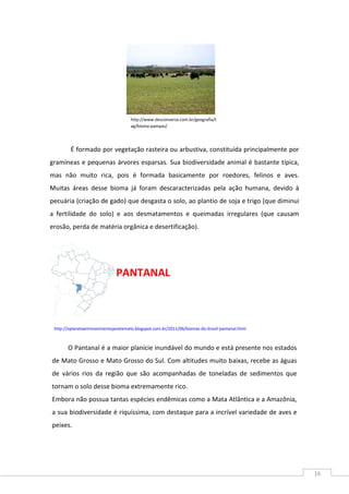 16
É formado por vegetação rasteira ou arbustiva, constituída principalmente por
gramíneas e pequenas árvores esparsas. Sua biodiversidade animal é bastante típica,
mas não muito rica, pois é formada basicamente por roedores, felinos e aves.
Muitas áreas desse bioma já foram descaracterizadas pela ação humana, devido à
pecuária (criação de gado) que desgasta o solo, ao plantio de soja e trigo (que diminui
a fertilidade do solo) e aos desmatamentos e queimadas irregulares (que causam
erosão, perda de matéria orgânica e desertificação).
PANTANAL
O Pantanal é a maior planície inundável do mundo e está presente nos estados
de Mato Grosso e Mato Grosso do Sul. Com altitudes muito baixas, recebe as águas
de vários rios da região que são acompanhadas de toneladas de sedimentos que
tornam o solo desse bioma extremamente rico.
Embora não possua tantas espécies endêmicas como a Mata Atlântica e a Amazônia,
a sua biodiversidade é riquíssima, com destaque para a incrível variedade de aves e
peixes.
http://www.desconversa.com.br/geografia/t
ag/bioma-pampas/
http://oplanetaemmovimentojanetemelo.blogspot.com.br/2011/06/biomas-do-brasil-pantanal.html
 