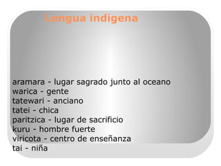 gastronomia de nayarit  Nayarit posee privilegiada situación geográfica. Su ubicación en el trópico de cáncer le concede un clima excelente con lluvias abundantes en el verano y suelos muy fértiles que producen gran variedad de flores de gran belleza y frutos de sabor incomparables. Nayarit es productor de coco, maíz, trigo y fríjol y el primero en el país en la producción de tabaco; plátano (se encuentran 14 variedades de este producto); mango (los famosos petacones se producen es esta región); y caña de azúcar.Uno de los ejemplos que citamos para explicar la bondad de sus tierras, son las increíbles mazorcas de 70 centímetros de largo que se producen en Jala, localidad cercana a la capital del estado. 