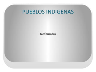 CHIHUAHUA SIGNIFICADO El significado de chihuahua es (chi , lugar-hua , agua-hua , agua 