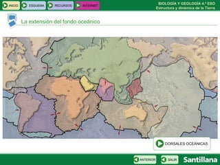 La extensión del fondo oceánico INICIO ESQUEMA RECURSOS INTERNET SALIR ANTERIOR DORSALES OCEÁNICAS 