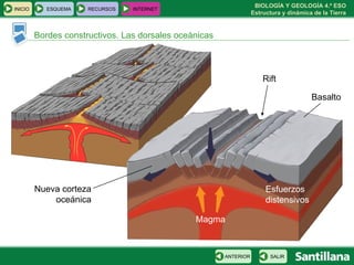 Bordes constructivos. Las dorsales oceánicas Magma Rift Nueva corteza oceánica Basalto Esfuerzos distensivos INICIO ESQUEMA RECURSOS INTERNET SALIR ANTERIOR 