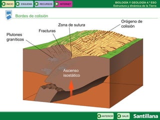 Bordes de colisión Orógeno de colisión Ascenso isostático Plutones graníticos Fracturas Zona de sutura INICIO ESQUEMA RECURSOS INTERNET SALIR ANTERIOR 