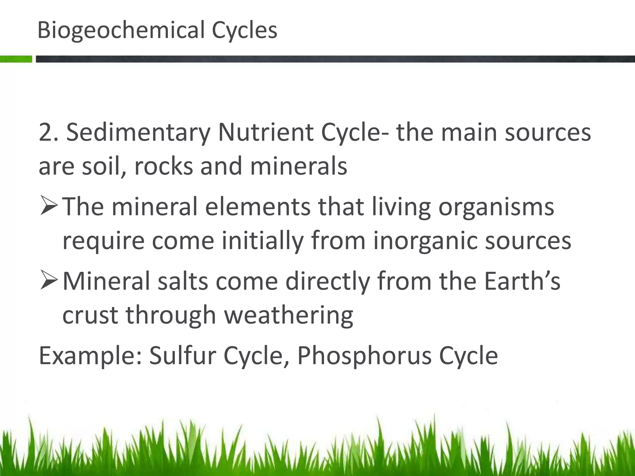 Biogeochemical Cycles | PPTX