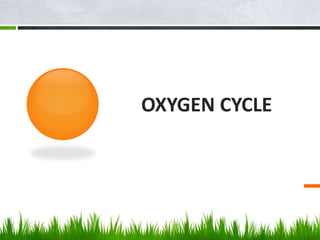 OXYGEN CYCLE
 
