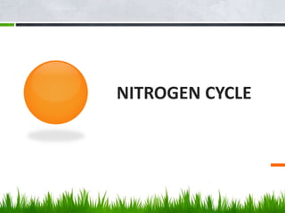 NITROGEN CYCLE
 