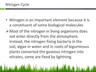 Nitrogen Cycle
• Nitrogen is an important element because it is
a constituent of some biological molecules
Most of the nitrogen in living organisms does
not enter directly from the atmosphere.
Instead, the nitrogen fixing bacteria in the
soil, algae in water and in roots of leguminous
plants converted the gaseous nitrogen into
nitrates, some are fixed by lightning
 