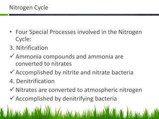 Nitrogen Cycle
• Four Special Processes involved in the Nitrogen
Cycle:
3. Nitrification
Ammonia compounds and ammonia are
converted to nitrates
Accomplished by nitrite and nitrate bacteria
4. Denitrification
Nitrates are converted to atmospheric nitrogen
Accomplished by denitrifying bacteria
 