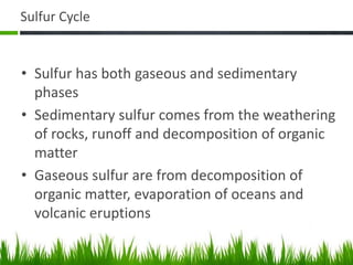 Sulfur Cycle
• Sulfur has both gaseous and sedimentary
phases
• Sedimentary sulfur comes from the weathering
of rocks, runoff and decomposition of organic
matter
• Gaseous sulfur are from decomposition of
organic matter, evaporation of oceans and
volcanic eruptions
 