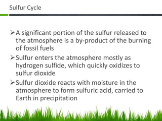 Sulfur Cycle
A significant portion of the sulfur released to
the atmosphere is a by-product of the burning
of fossil fuels
Sulfur enters the atmosphere mostly as
hydrogen sulfide, which quickly oxidizes to
sulfur dioxide
Sulfur dioxide reacts with moisture in the
atmosphere to form sulfuric acid, carried to
Earth in precipitation
 