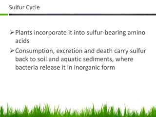 Sulfur Cycle
Plants incorporate it into sulfur-bearing amino
acids
Consumption, excretion and death carry sulfur
back to soil and aquatic sediments, where
bacteria release it in inorganic form
 