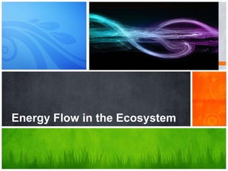 Energy Flow in the Ecosystem
 