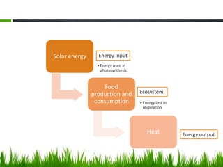 Solar energy
•Energy used in
photosynthesis
Food
production and
consumption •Energy lost in
respiration
Heat
Energy Input
Ecosystem
Energy output
 