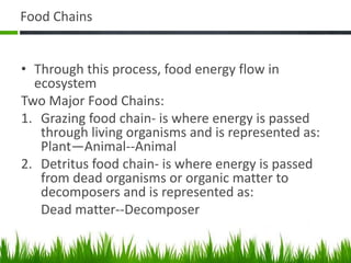 Food Chains
• Through this process, food energy flow in
ecosystem
Two Major Food Chains:
1. Grazing food chain- is where energy is passed
through living organisms and is represented as:
Plant—Animal--Animal
2. Detritus food chain- is where energy is passed
from dead organisms or organic matter to
decomposers and is represented as:
Dead matter--Decomposer
 