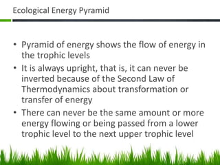 Ecological Energy Pyramid
• Pyramid of energy shows the flow of energy in
the trophic levels
• It is always upright, that is, it can never be
inverted because of the Second Law of
Thermodynamics about transformation or
transfer of energy
• There can never be the same amount or more
energy flowing or being passed from a lower
trophic level to the next upper trophic level
 