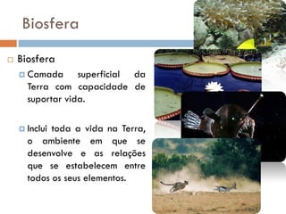 (4) biologia e geologia 10º ano - diversidade na biosfera | PDF