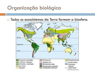 (4) biologia e geologia 10º ano - diversidade na biosfera | PDF