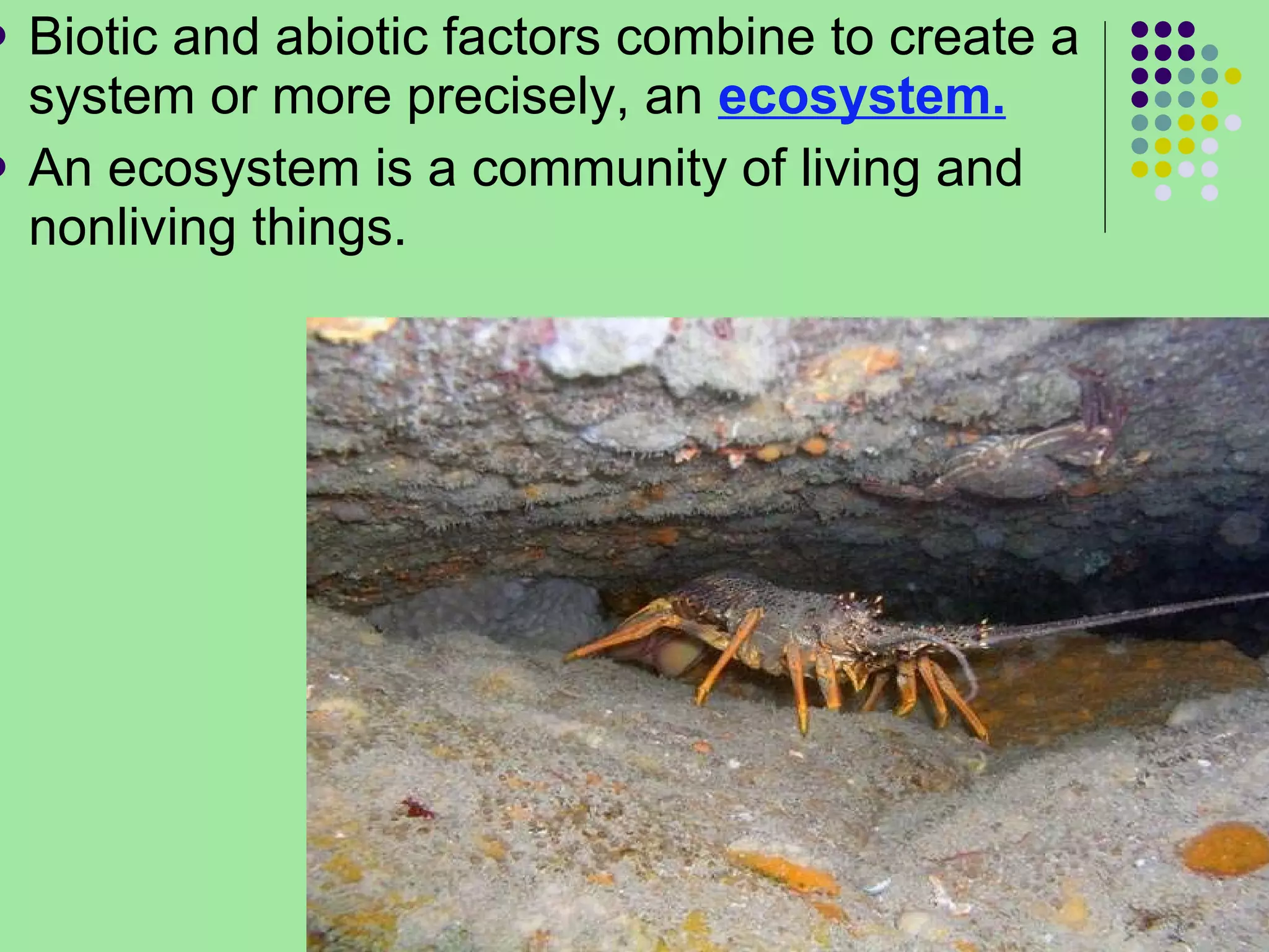 Biotic and abiotic factors combine to create a system or more precisely, an  ecosystem.   An ecosystem is a community of living and nonliving things.  