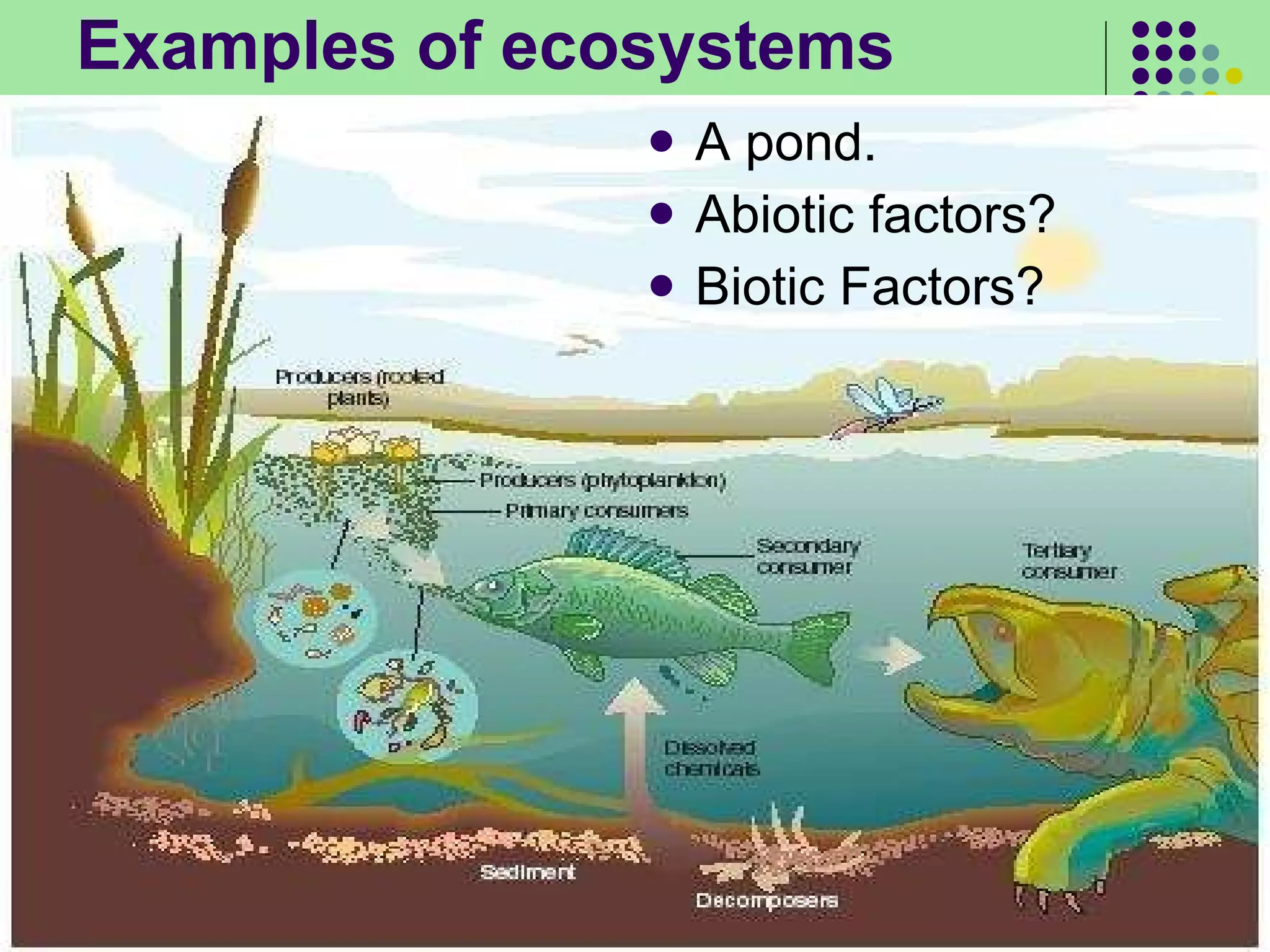 Examples of ecosystems A pond. Abiotic factors? Biotic Factors? 