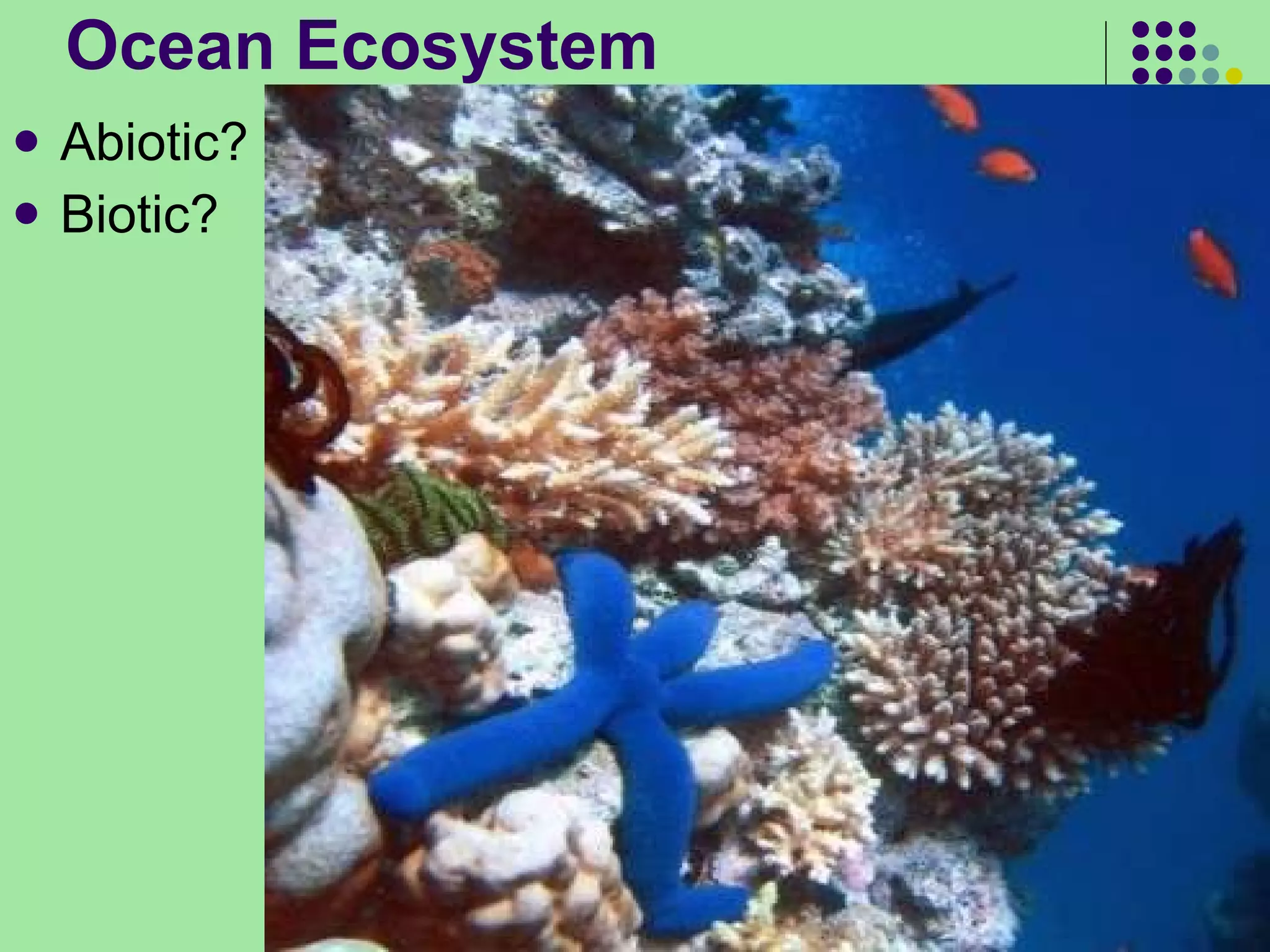 Ocean Ecosystem Abiotic? Biotic? 