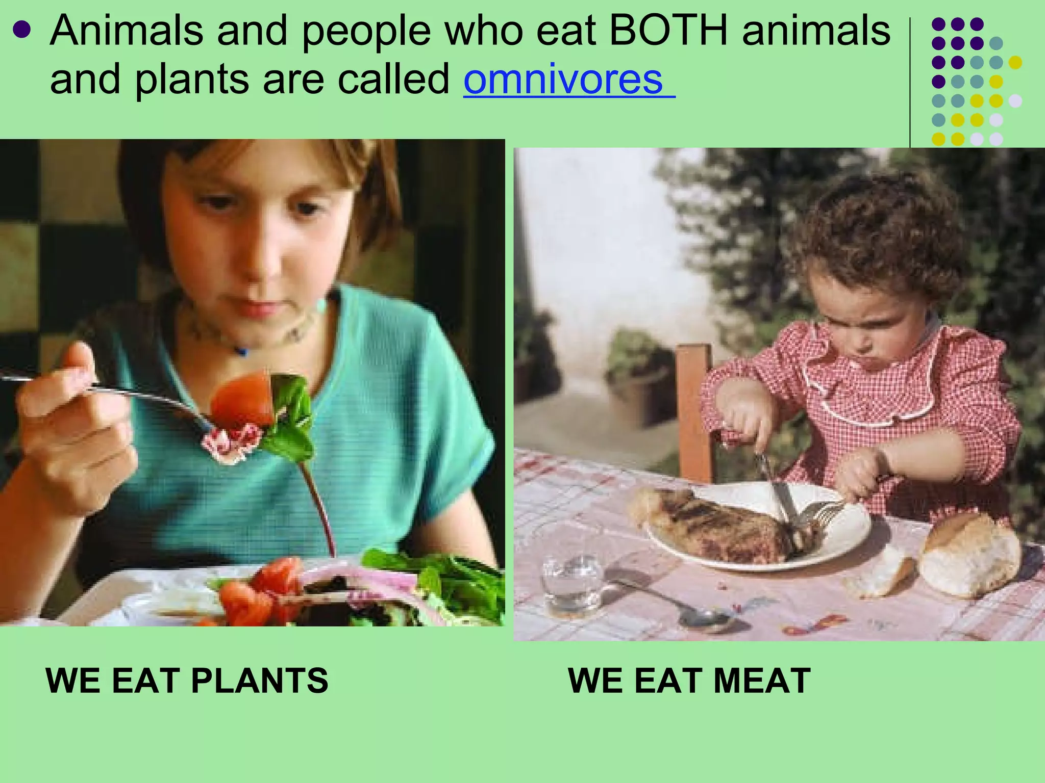 Animals and people who eat BOTH animals and plants are called  omnivores  WE EAT PLANTS WE EAT MEAT 