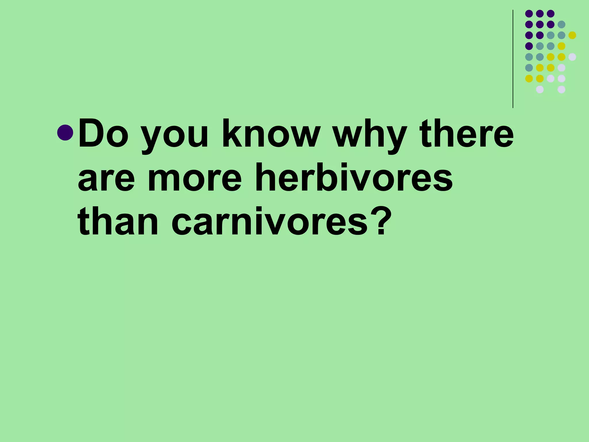 Do you know why there are more herbivores than carnivores? 
