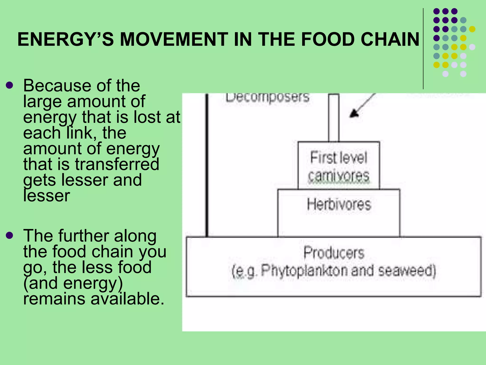 Because of the large amount of energy that is lost at each link, the amount of energy that is transferred gets lesser and lesser  The further along the food chain you go, the less food (and energy) remains available.  ENERGY’S MOVEMENT IN THE FOOD CHAIN 