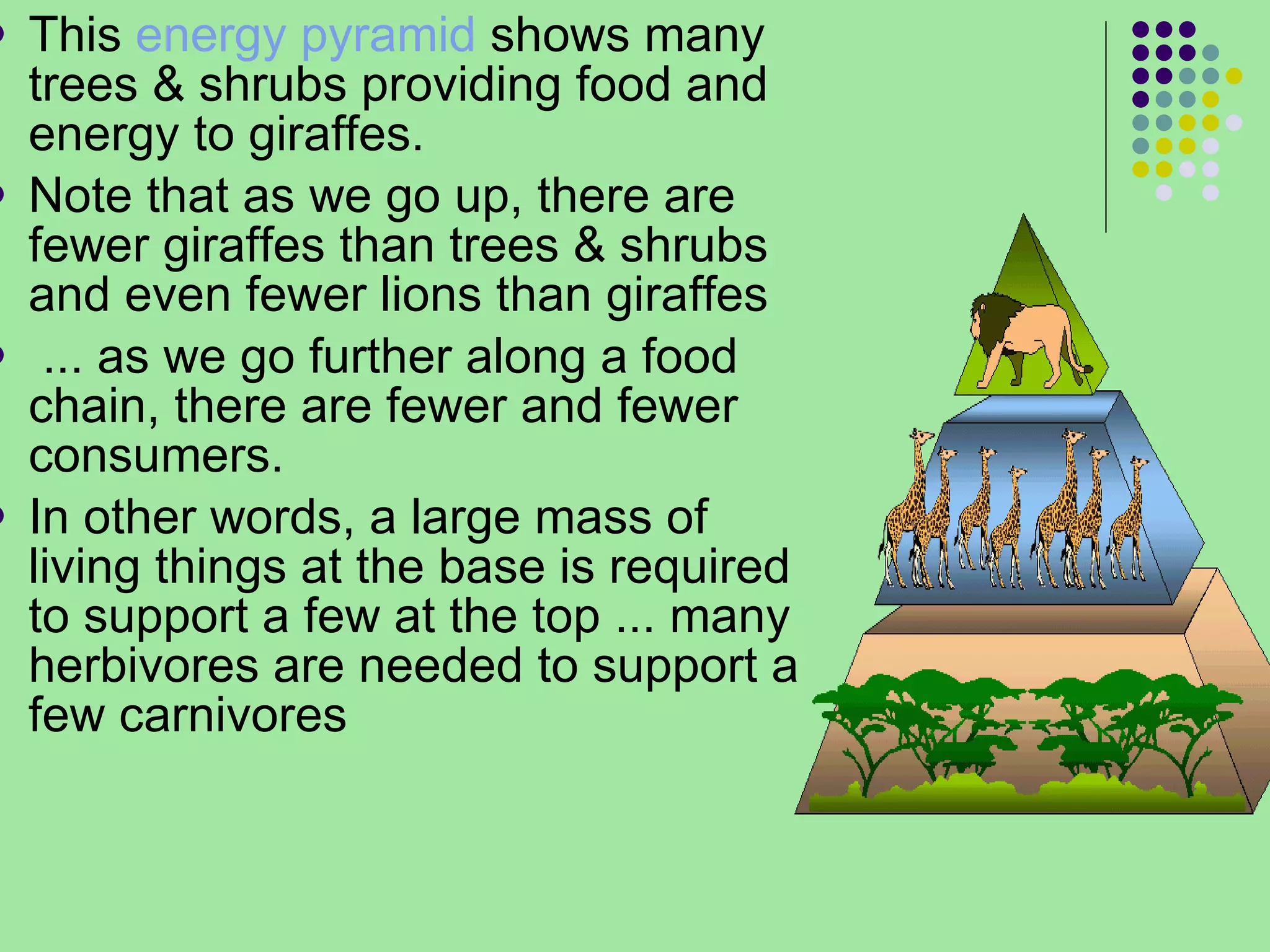 This  energy pyramid  shows many trees & shrubs providing food and energy to giraffes.  Note that as we go up, there are fewer giraffes than trees & shrubs and even fewer lions than giraffes ... as we go further along a food chain, there are fewer and fewer consumers.  In other words, a large mass of living things at the base is required to support a few at the top ... many herbivores are needed to support a few carnivores  