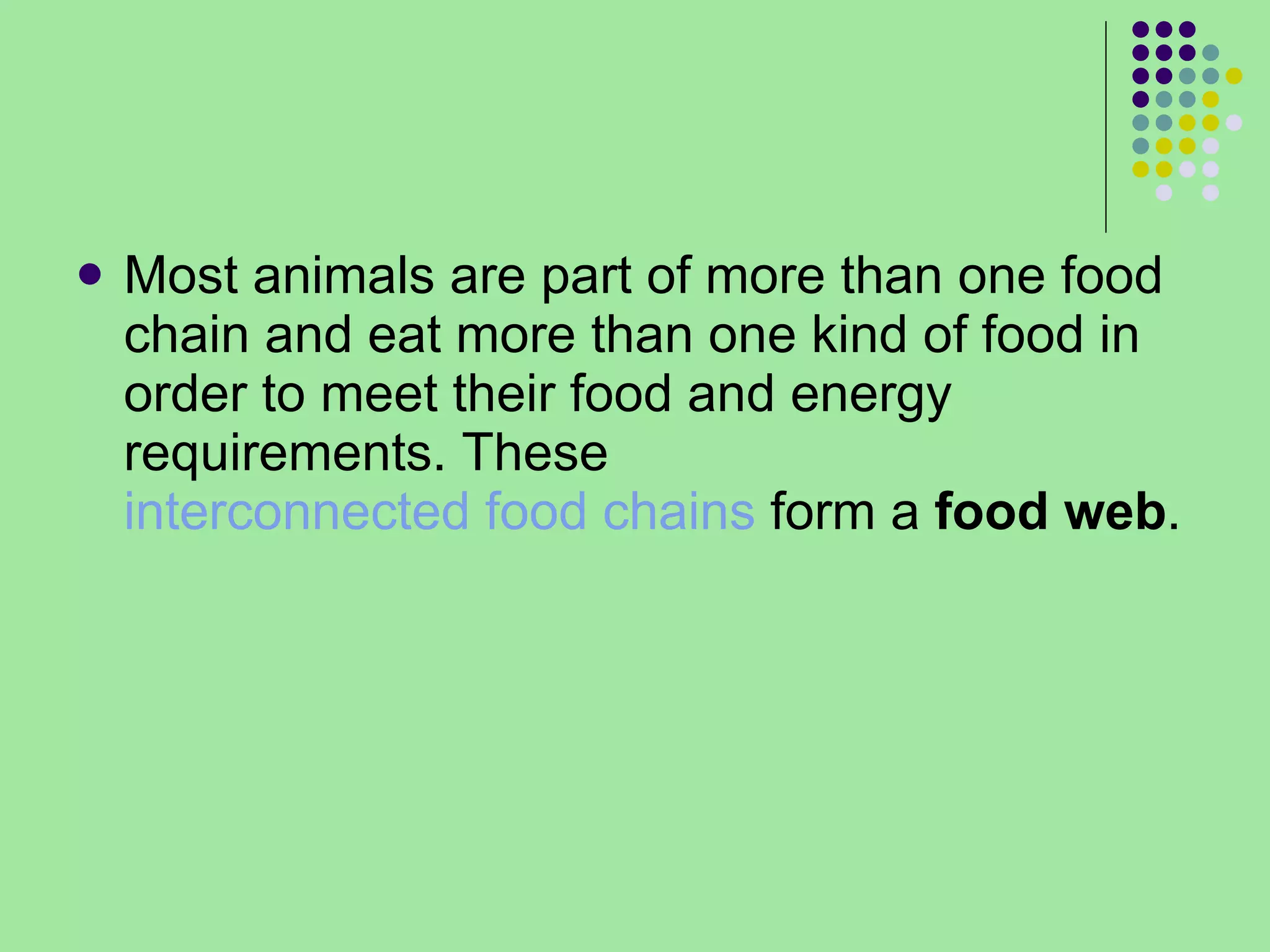 Most animals are part of more than one food chain and eat more than one kind of food in order to meet their food and energy requirements. These  interconnected food chains  form a  food web . 