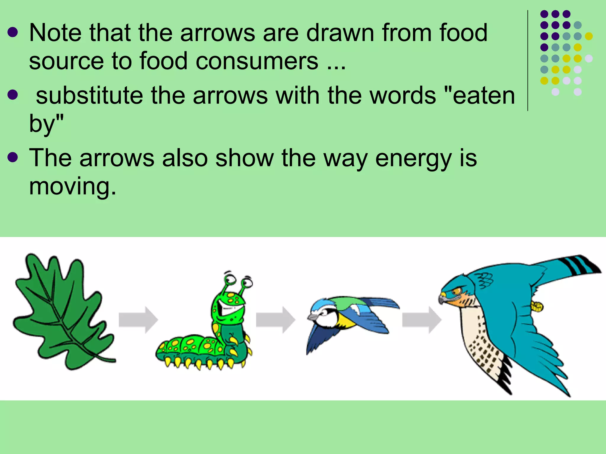 Note that the arrows are drawn from food source to food consumers ...  substitute the arrows with the words "eaten by"  The arrows also show the way energy is moving. 