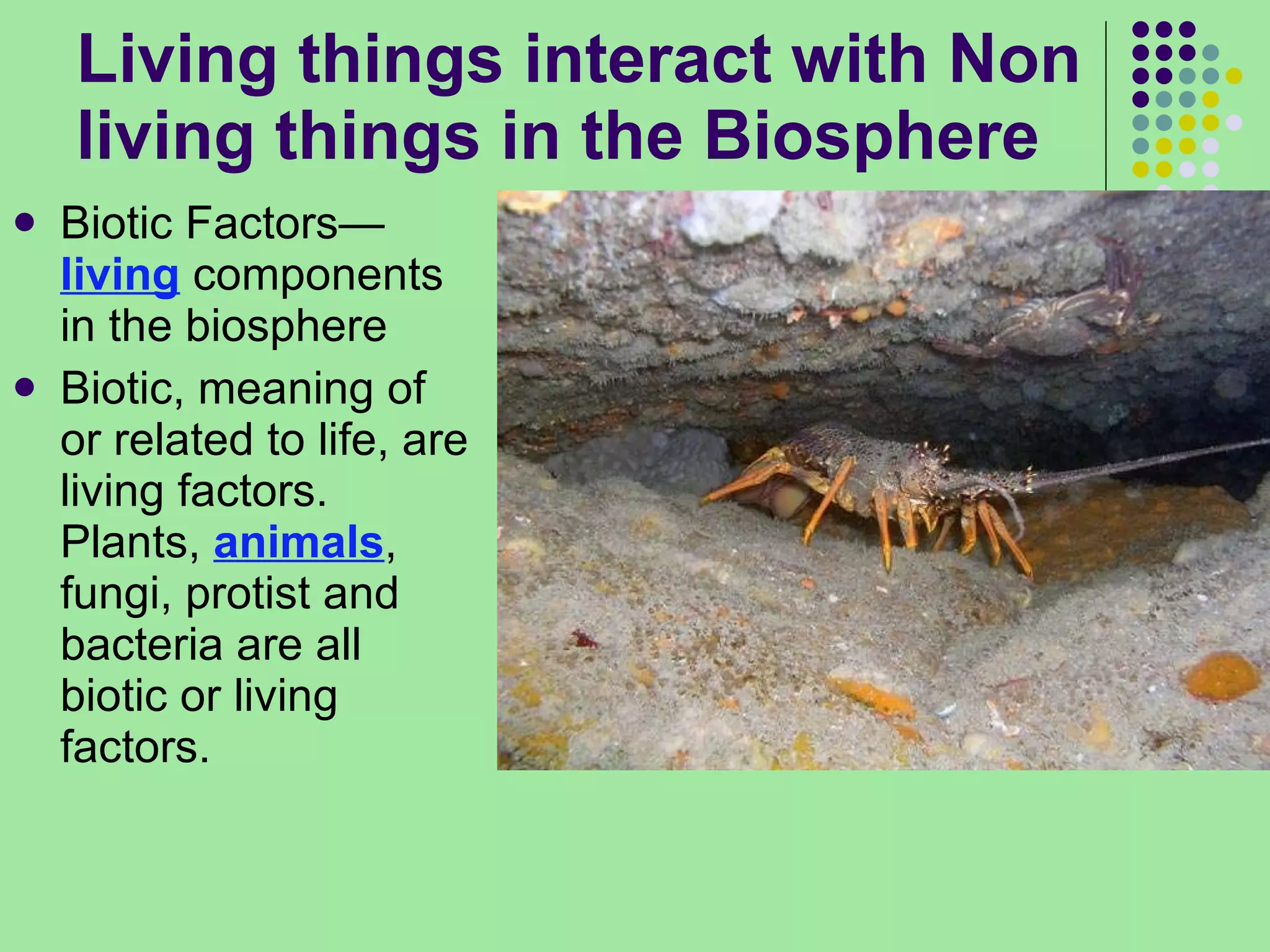 Living things interact with Non living things in the Biosphere Biotic Factors— living  components in the biosphere Biotic, meaning of or related to life, are living factors. Plants,  animals , fungi, protist and bacteria are all biotic or living factors.  