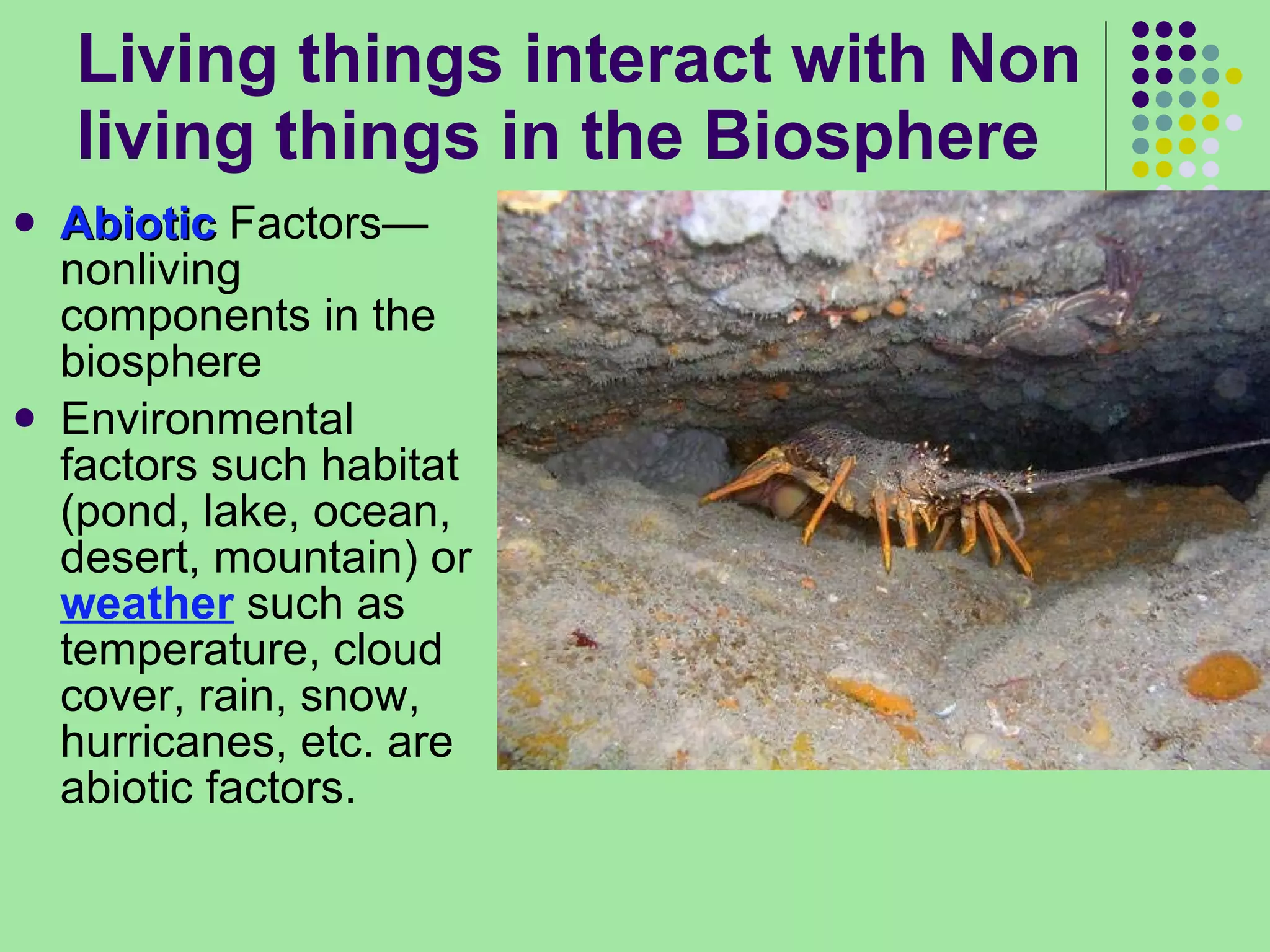 Living things interact with Non living things in the Biosphere Abiotic  Factors—nonliving components in the biosphere Environmental factors such habitat (pond, lake, ocean, desert, mountain) or  weather  such as temperature, cloud cover, rain, snow, hurricanes, etc. are abiotic factors.  