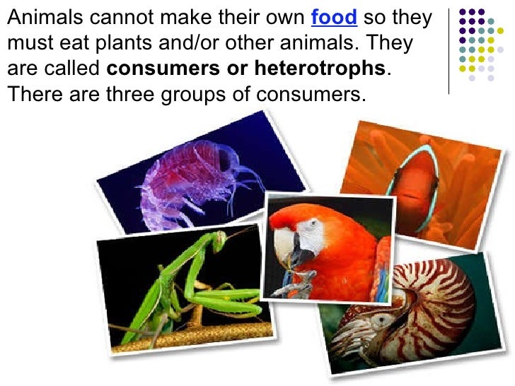 Earth Science. Biosphere ppt