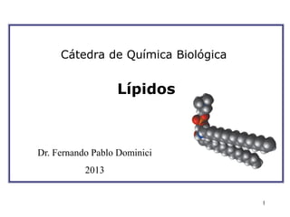 1
Lípidos
Cátedra de Química Biológica
Dr. Fernando Pablo Dominici
2013
 