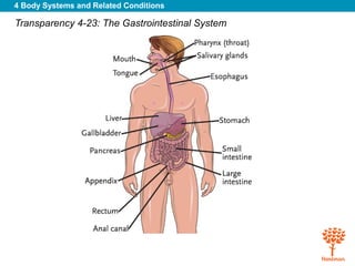 Body systems & related conditions Slide 111