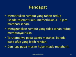 Pendapat
• Memerlukan rumput yang tahan-redup
(shade-tolerant) iaitu memerlukan 4 - 6 jam
matahari sehari.
• Menggunakan rumput yang tidak tahan redup
mempunyai risiko
• Terutamanya pada waktu matahari berada
pada ufuk yang lebih rendah.
• Dan juga pada musim hujan (tiada matahari).
www.mynormas.com 19
 
