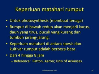 Keperluan matahari rumput
• Untuk photosynthesis (membuat tenaga)
• Rumput di bawah redup akan menjadi kurus,
daun yang tirus, pucuk yang kurang dan
tumbuh jarang-jarang.
• Keperluan matahari di antara spesis dan
kultivar rumput adalah berbeza-beza
• Dari 4 hingga 8 jam
– Reference: Patton, Aaron; Univ of Arkansas.
www.mynormas.com 20
 